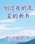 划过夜的流星的新书