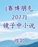 [赛博朋克2077]镜子中小说