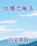 红楼之暖玉