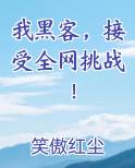 我黑客，接受全网挑战！最新章节
