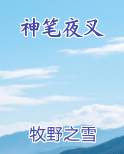 神笔夜叉原著小说